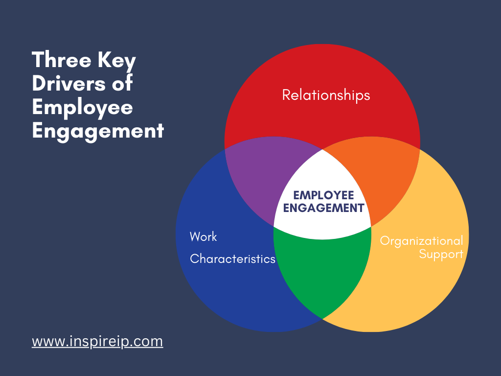 Three Key Drivers of Employee Engagement